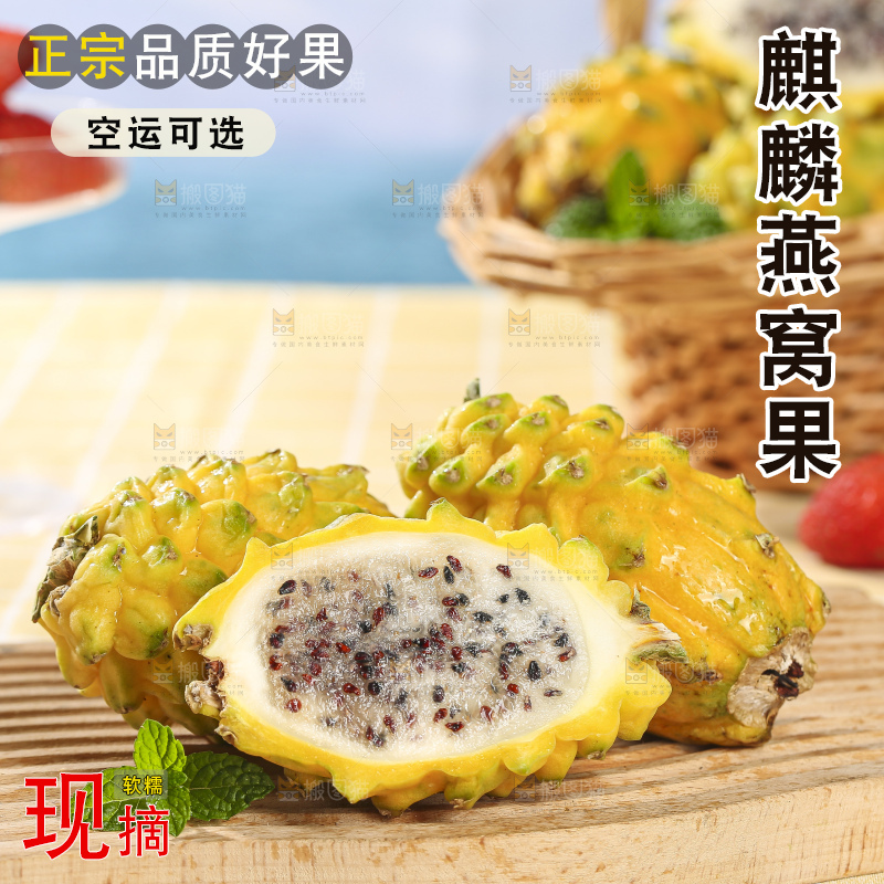 浅底上的燕窝果