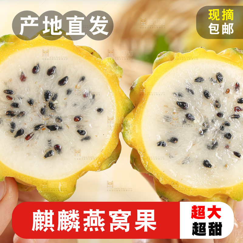 浅底上的燕窝果