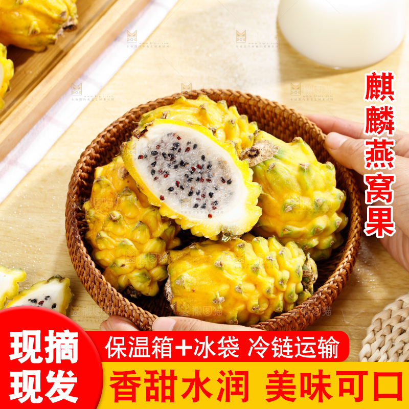 浅底上的燕窝果