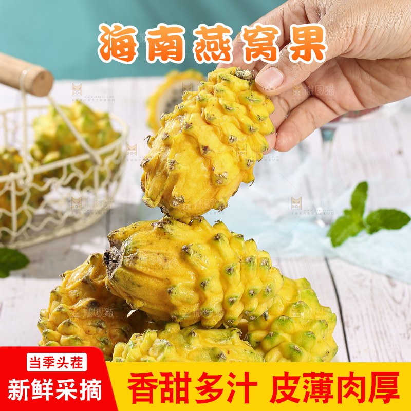 浅底上的燕窝果