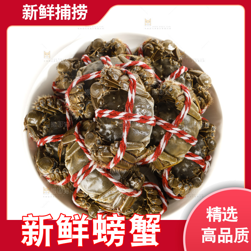 白底上的大闸蟹