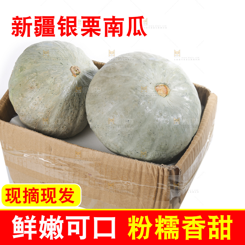 白底上的银栗南瓜