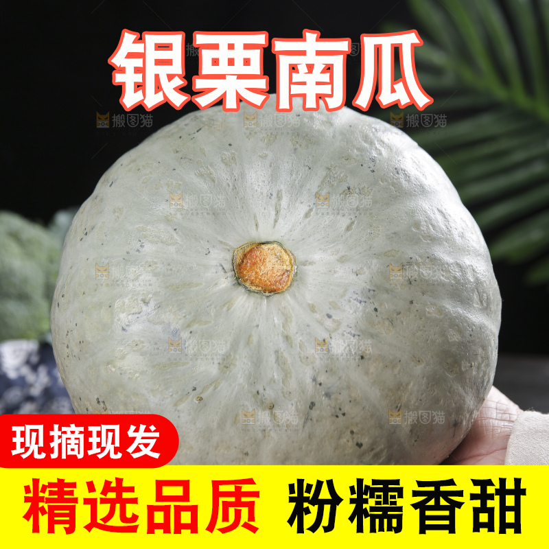 深底上的银栗南瓜