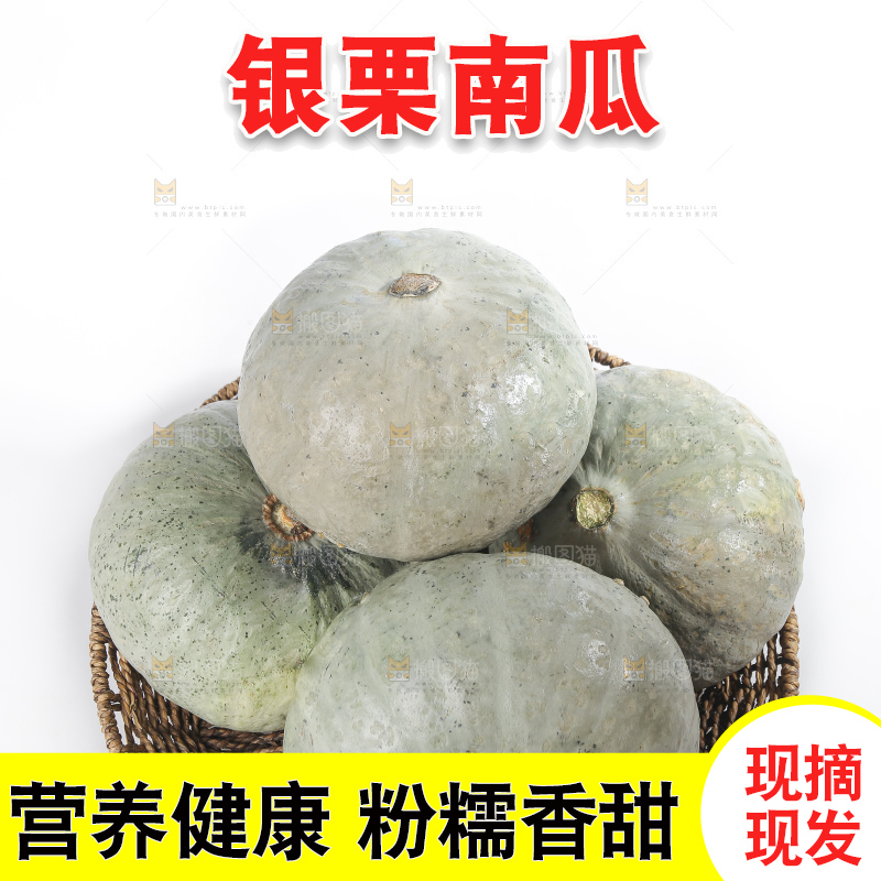 白底上的银栗南瓜