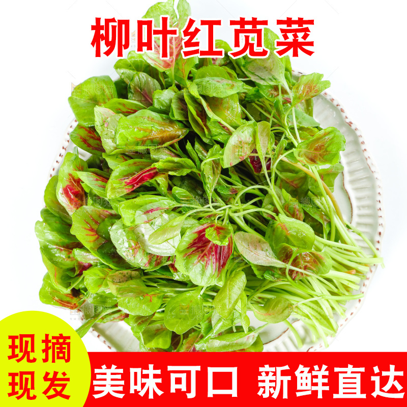 白底上的农家苋菜