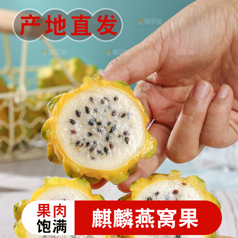 浅底上的燕窝果