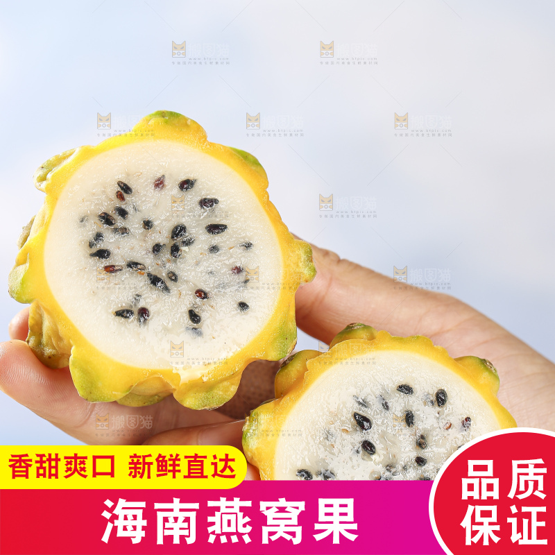 浅底上的燕窝果