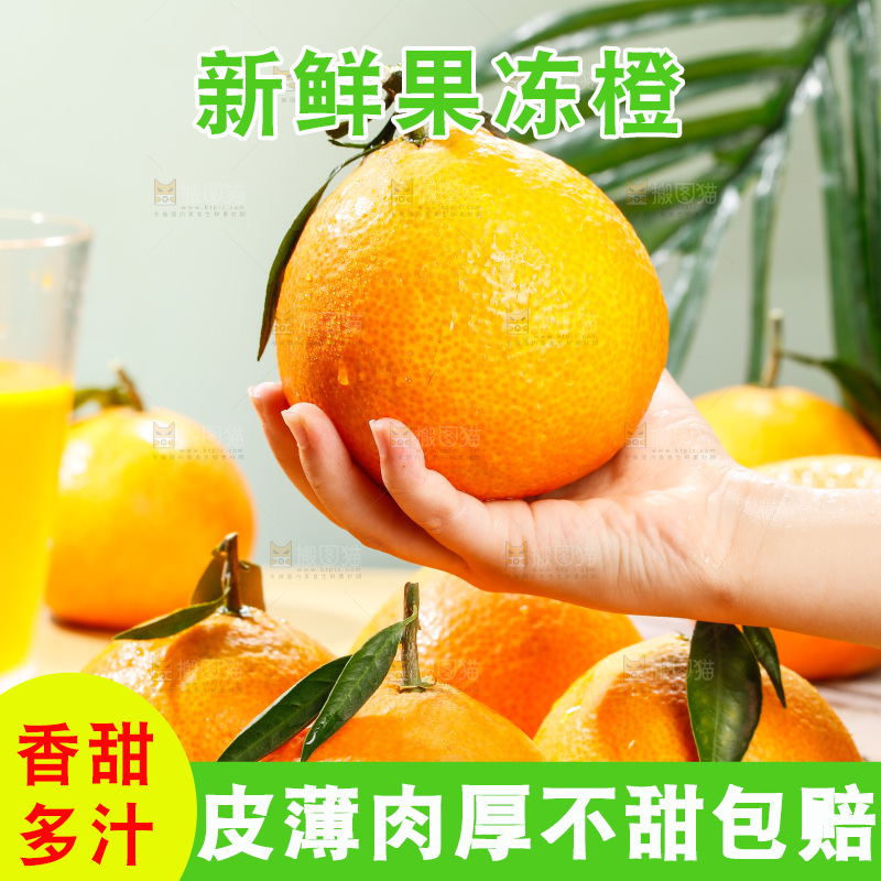 浅底上的爱媛果冻橙