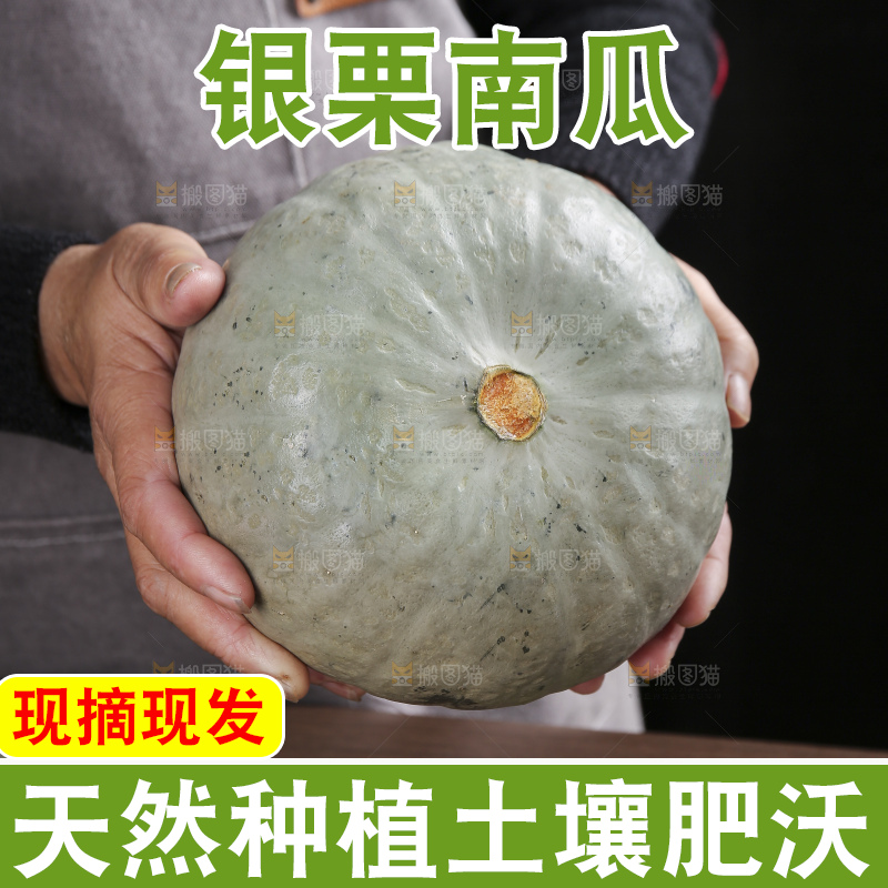 深底上的银栗南瓜