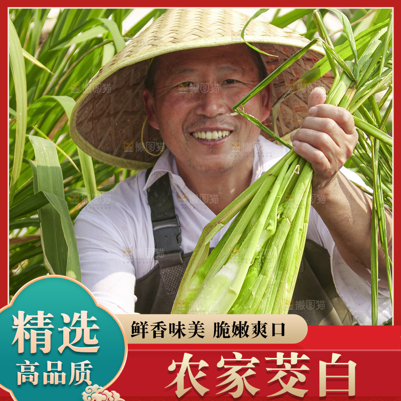 手里拿着新鲜茭白