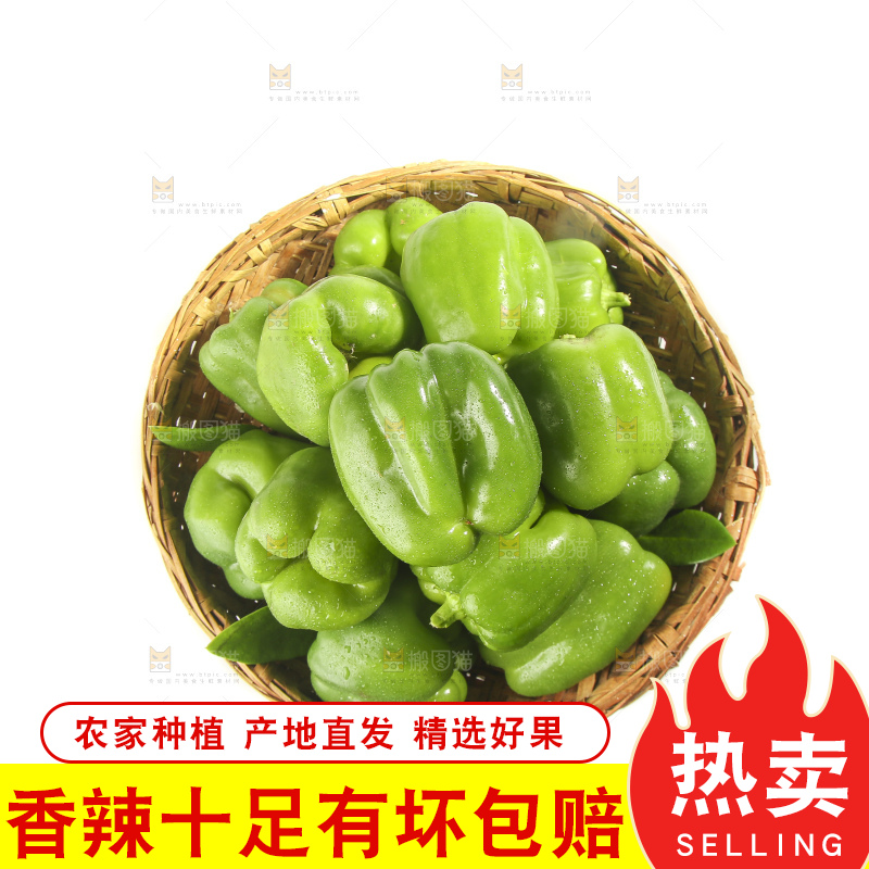 白底上的青圆椒