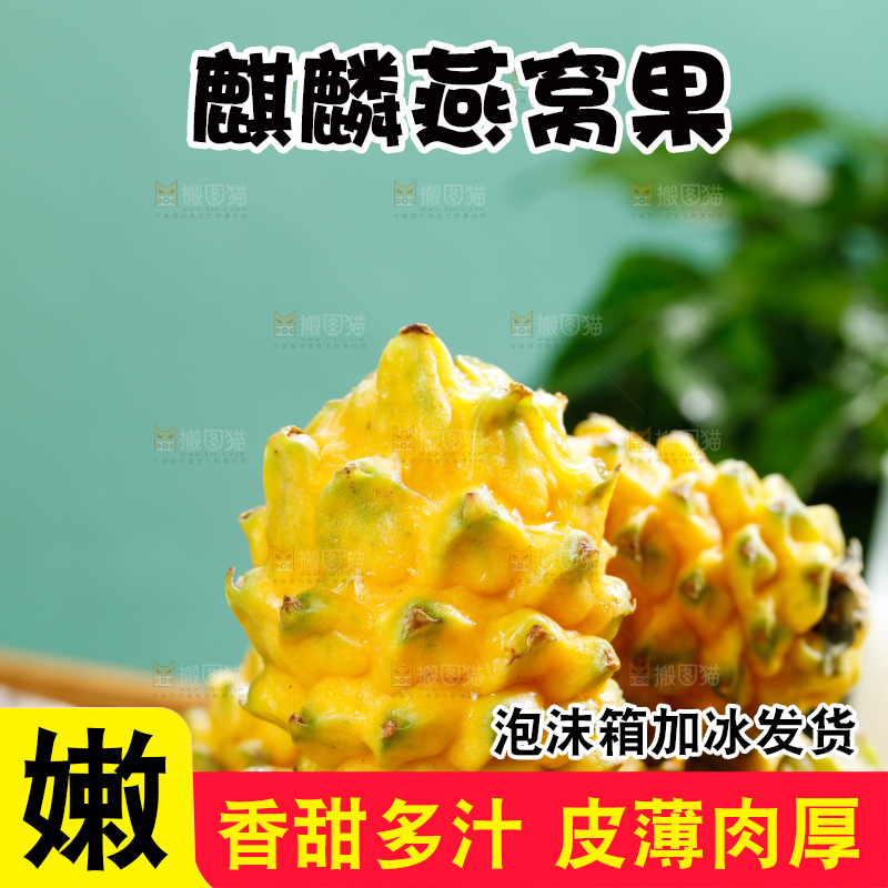 浅底上的燕窝果