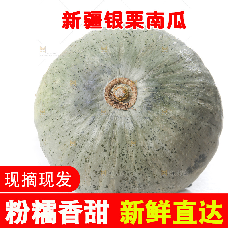白底上的银栗南瓜