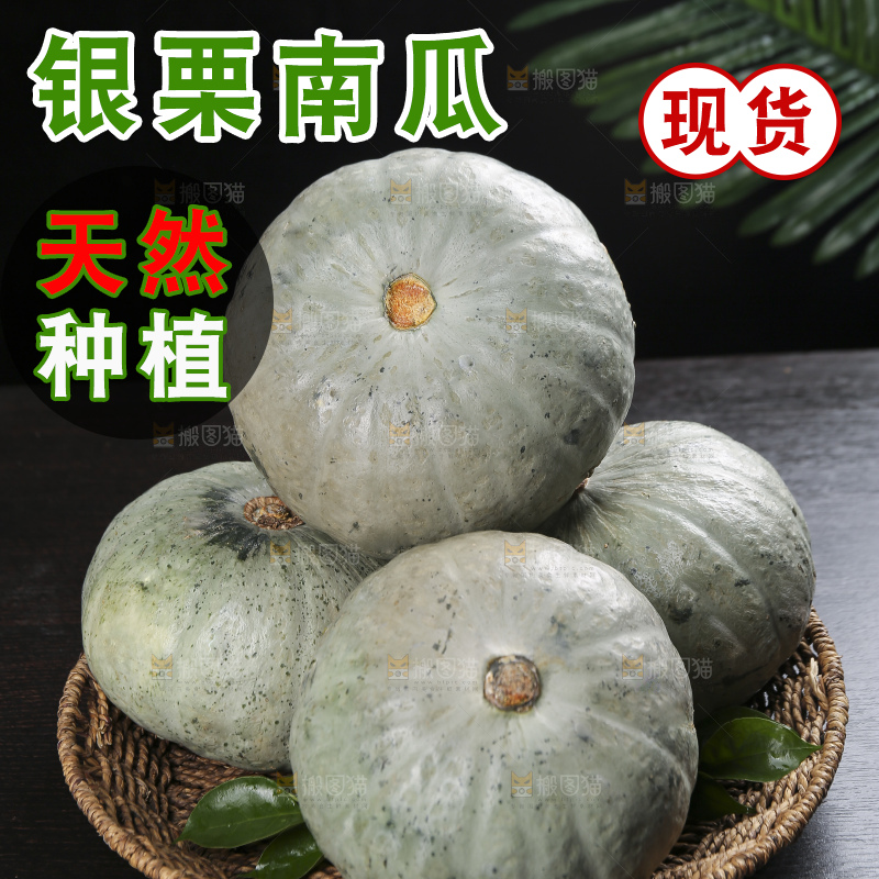 深底上的银栗南瓜