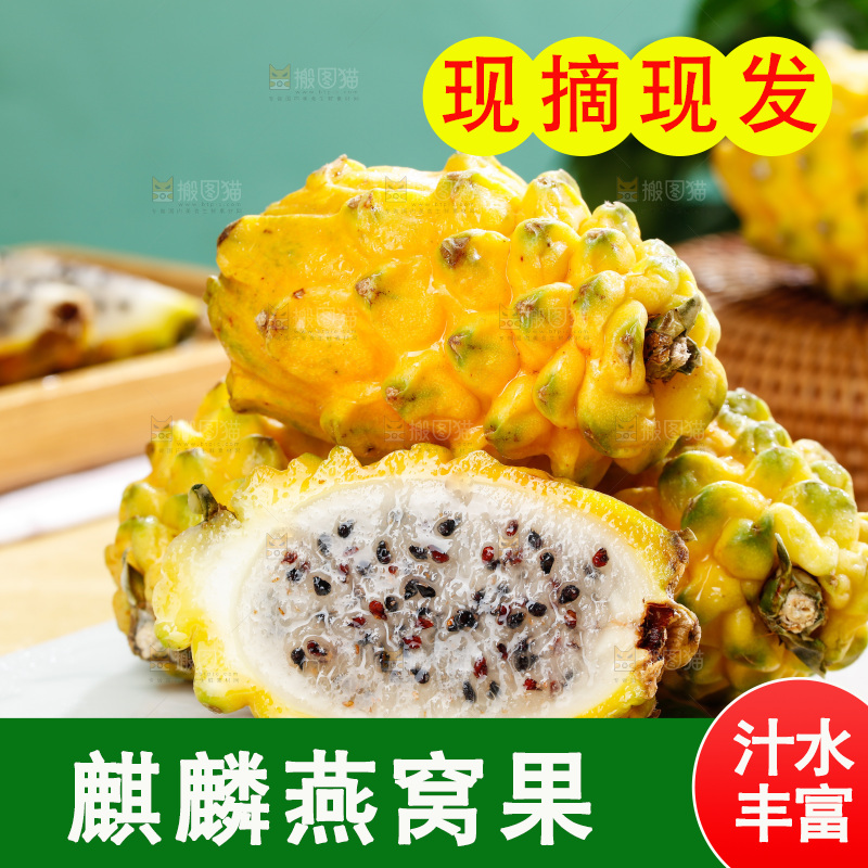 浅底上的燕窝果