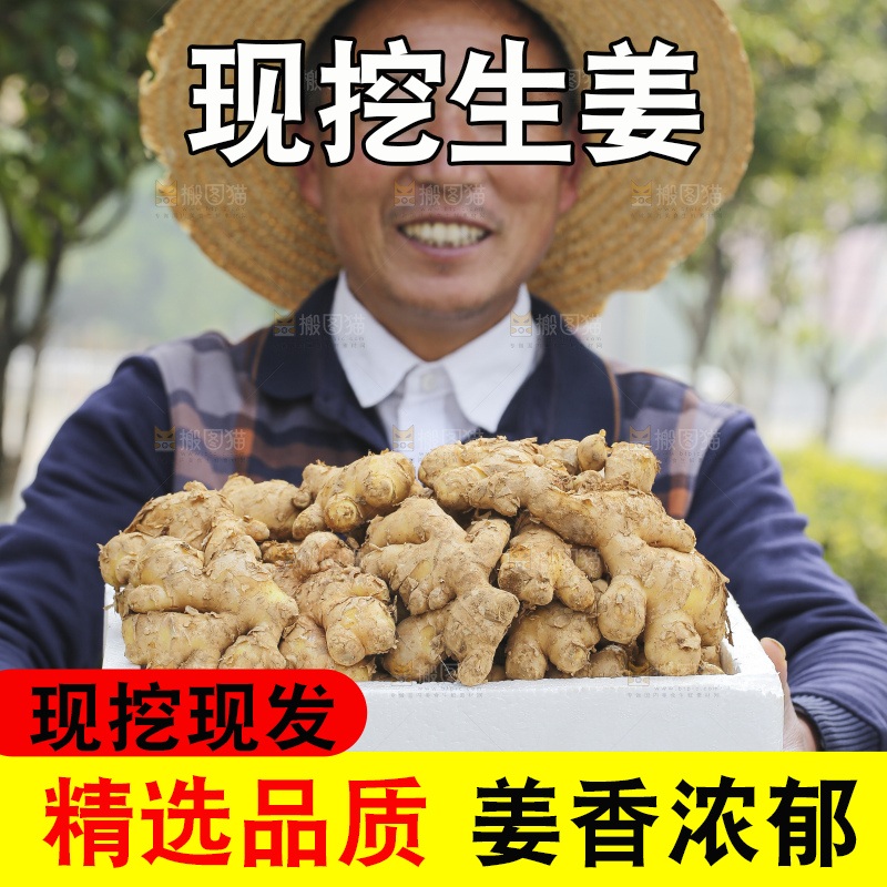 手里拿着新鲜生姜
