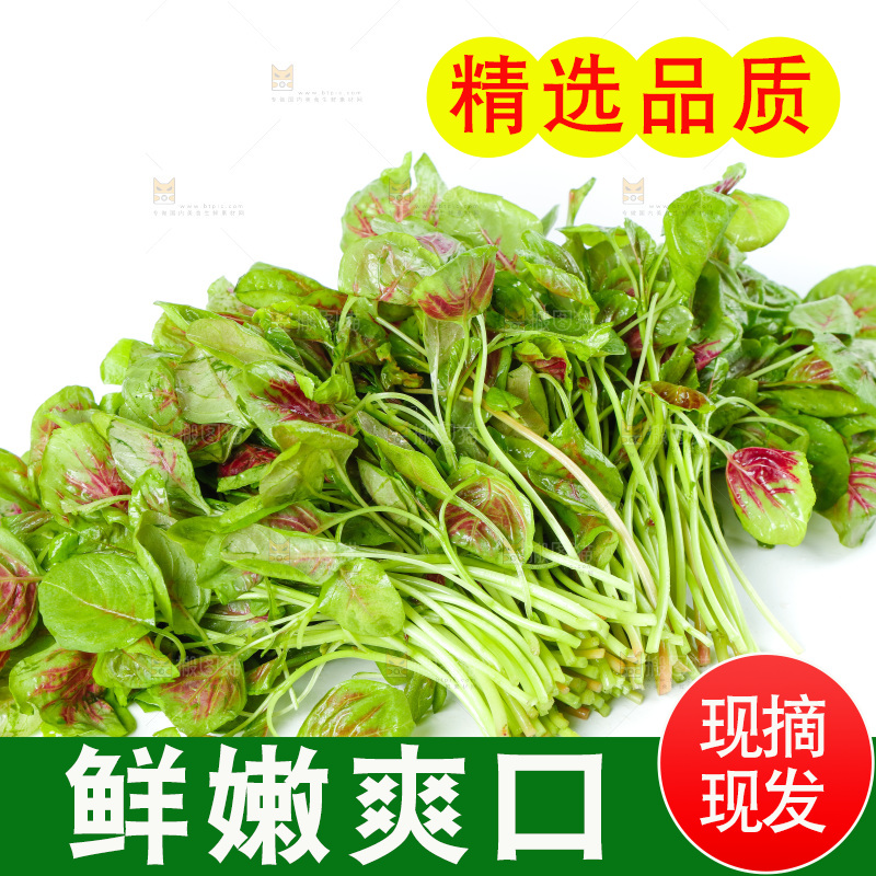 白底上的农家苋菜