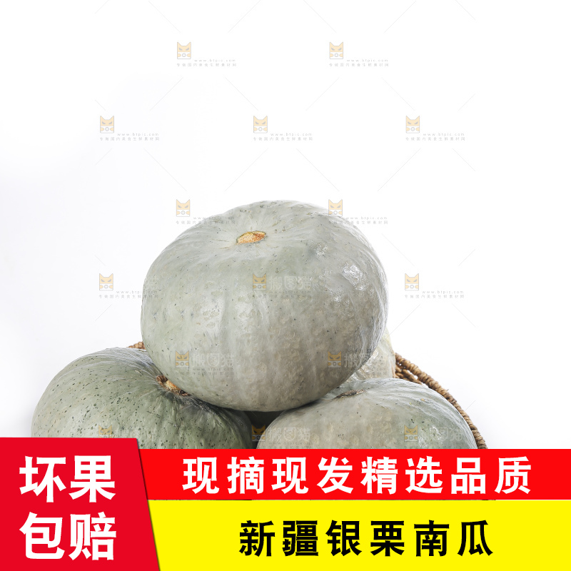 白底上的银栗南瓜