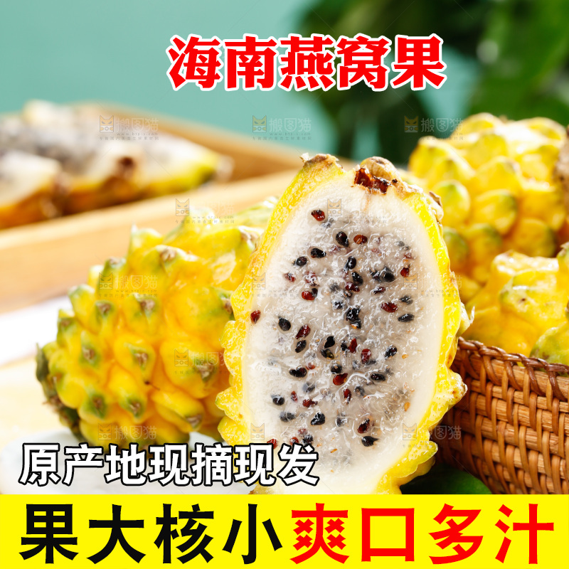 浅底上的燕窝果