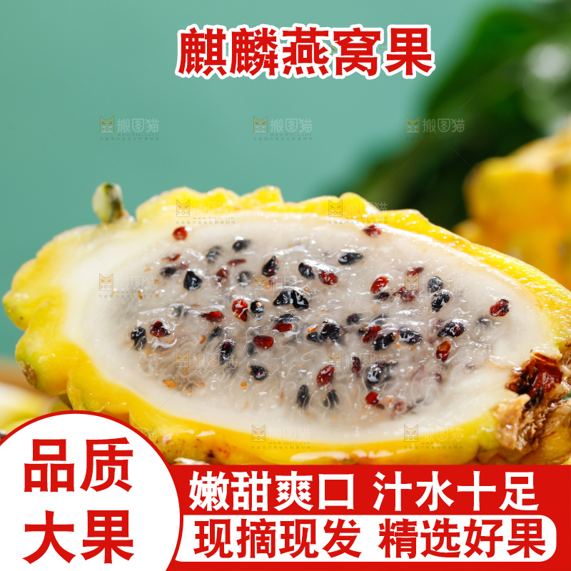 浅底上的燕窝果