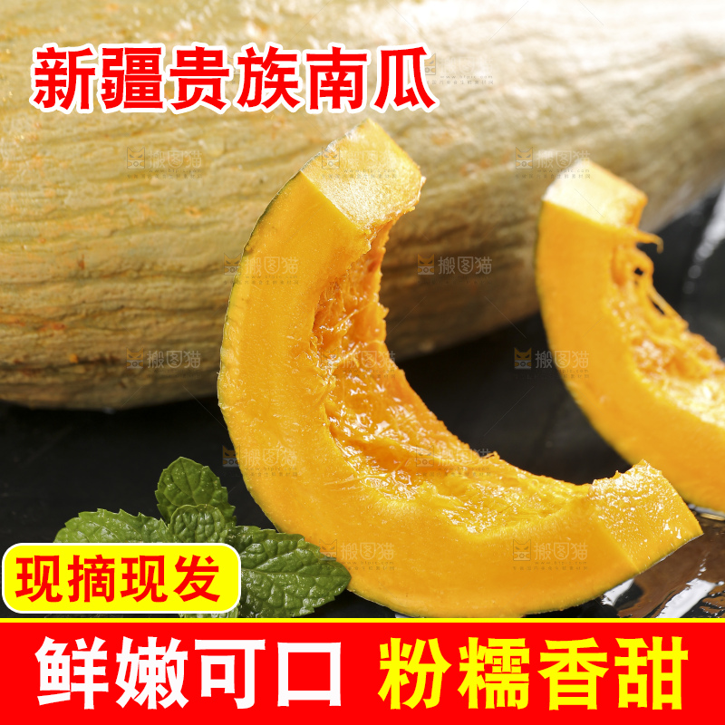 深底上的贵族南瓜
