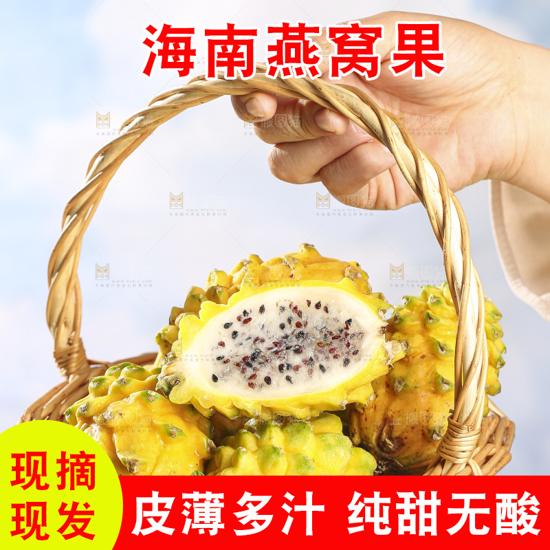 浅底上的燕窝果