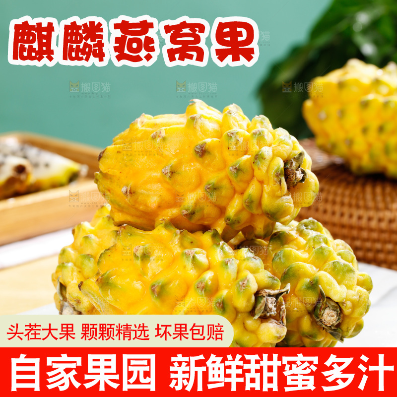 浅底上的燕窝果