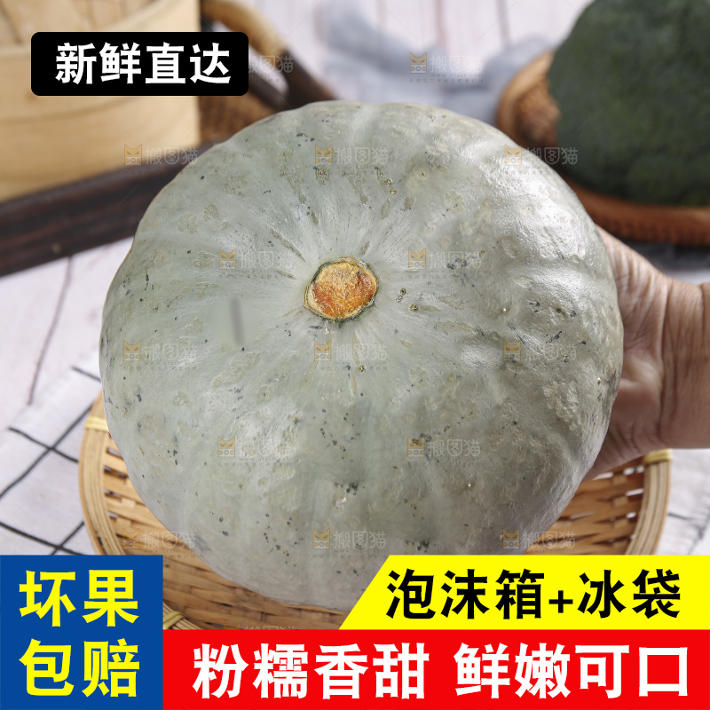 浅底上的银栗南瓜