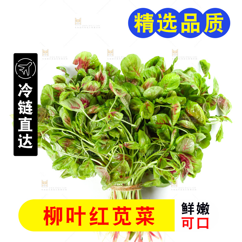 白底上的农家苋菜