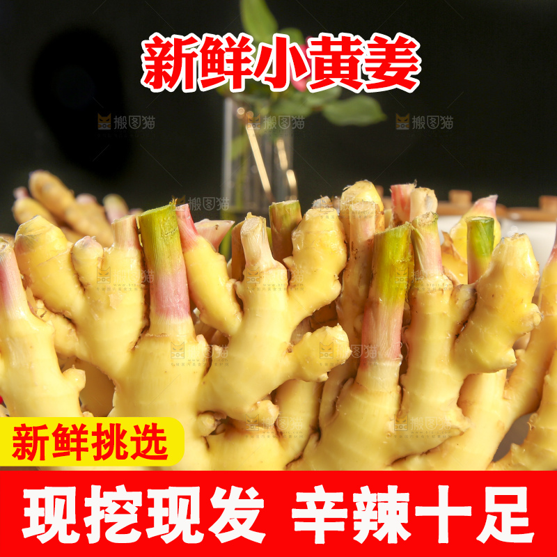 深底上的小黄姜