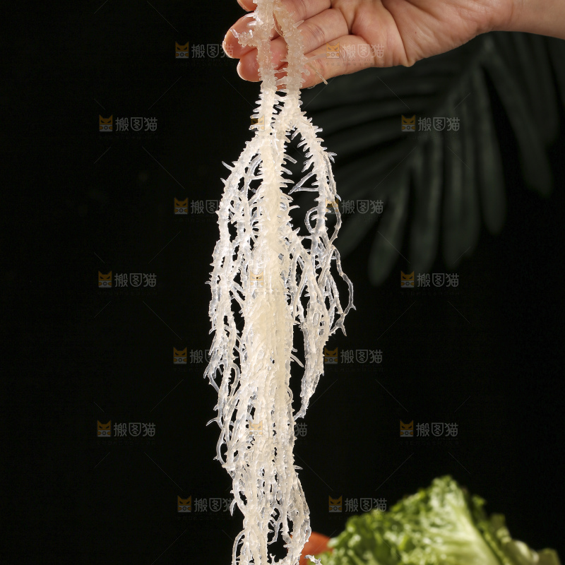 深底上的龙须菜