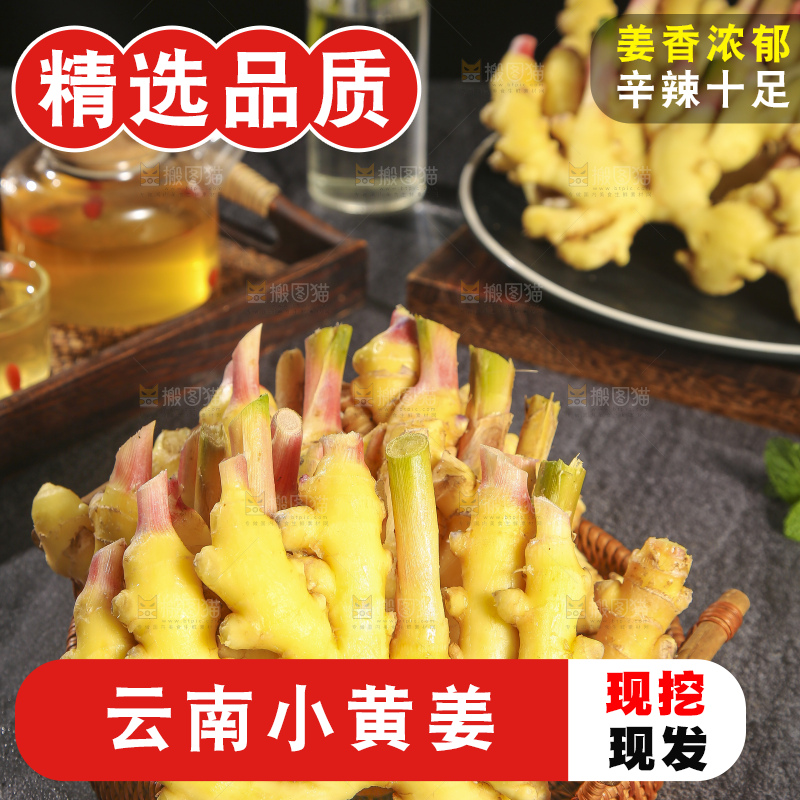 深底上的小黄姜