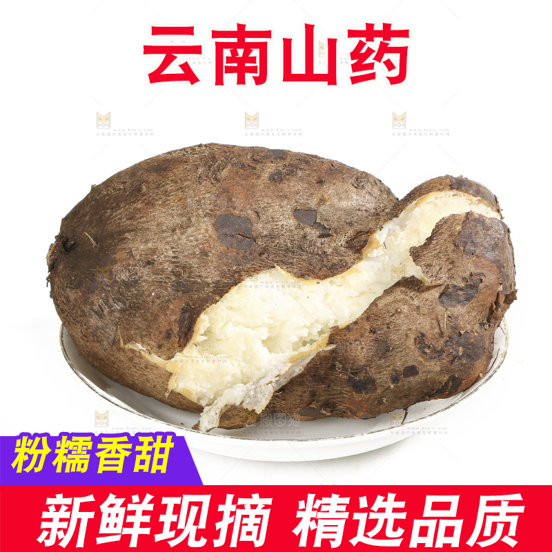 白底上的云南山药