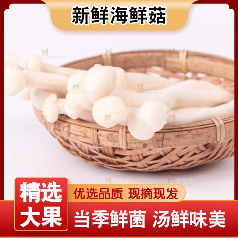 白底上的海鲜菇