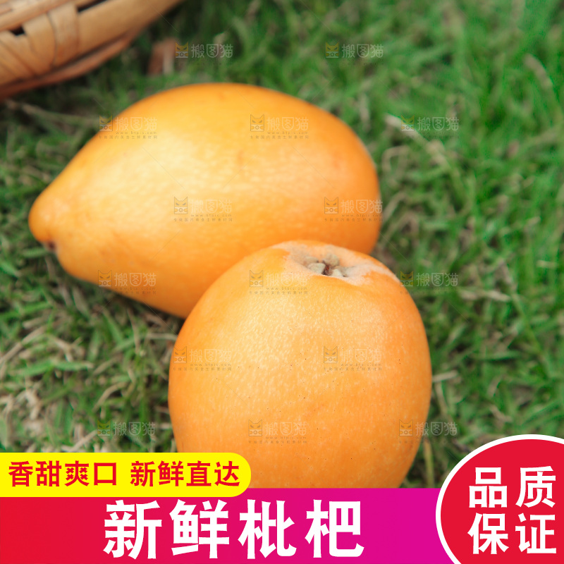 草地上放着米易枇杷