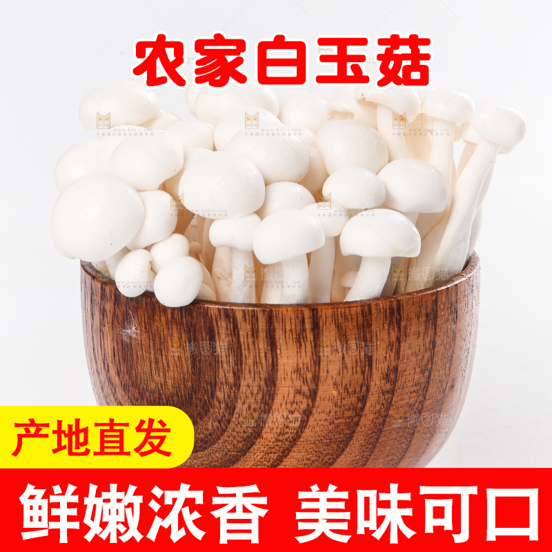 白底上的白玉菇