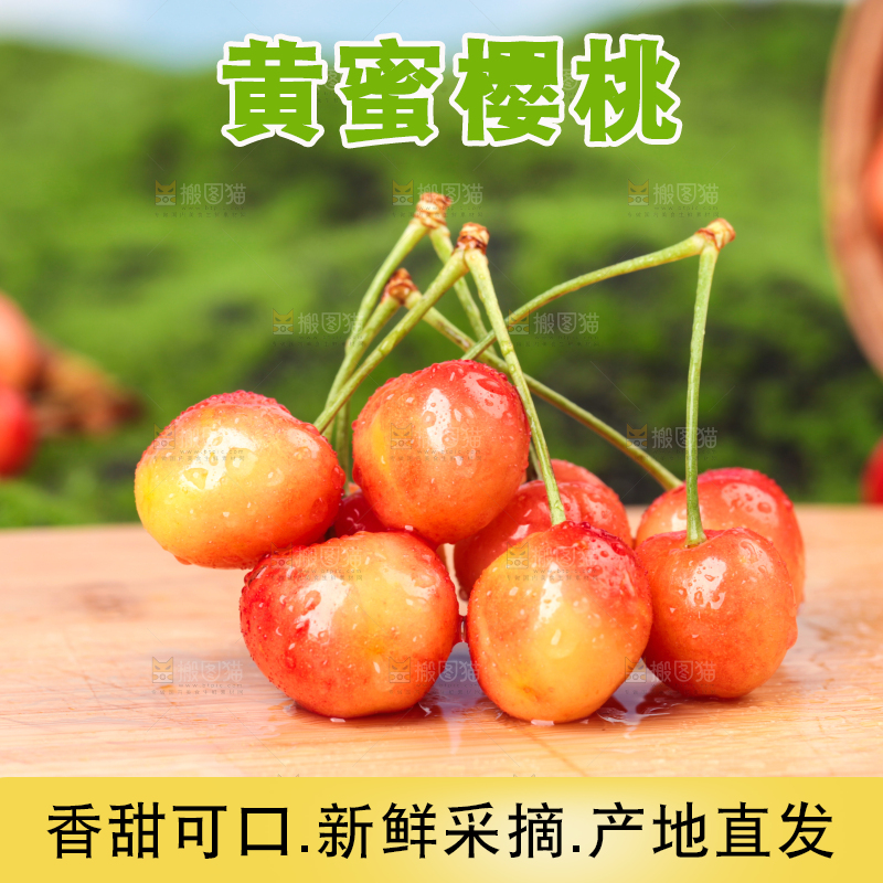 草地上的黄蜜樱桃