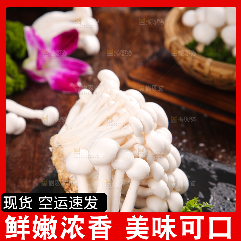 深底上的白玉菇