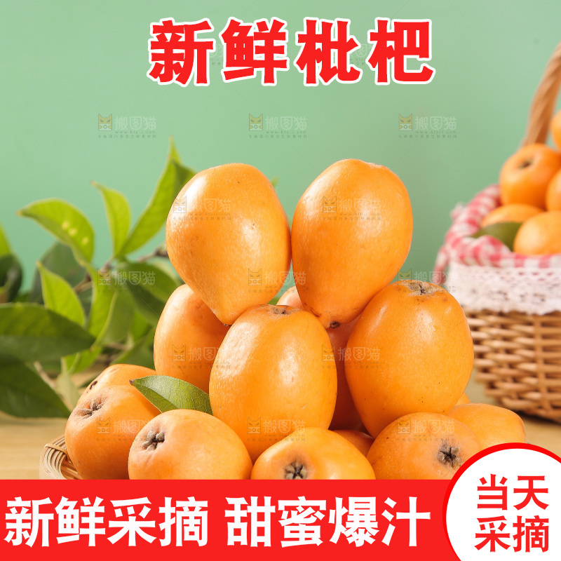 篮子里装着米易枇杷
