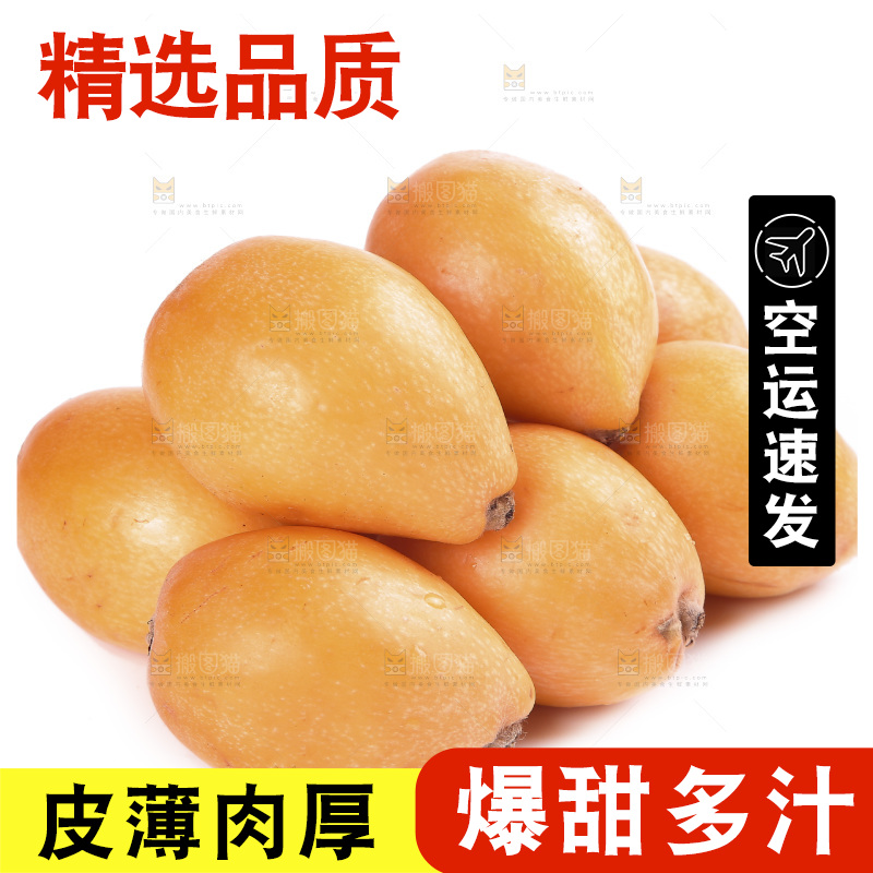 白底上的枇杷果