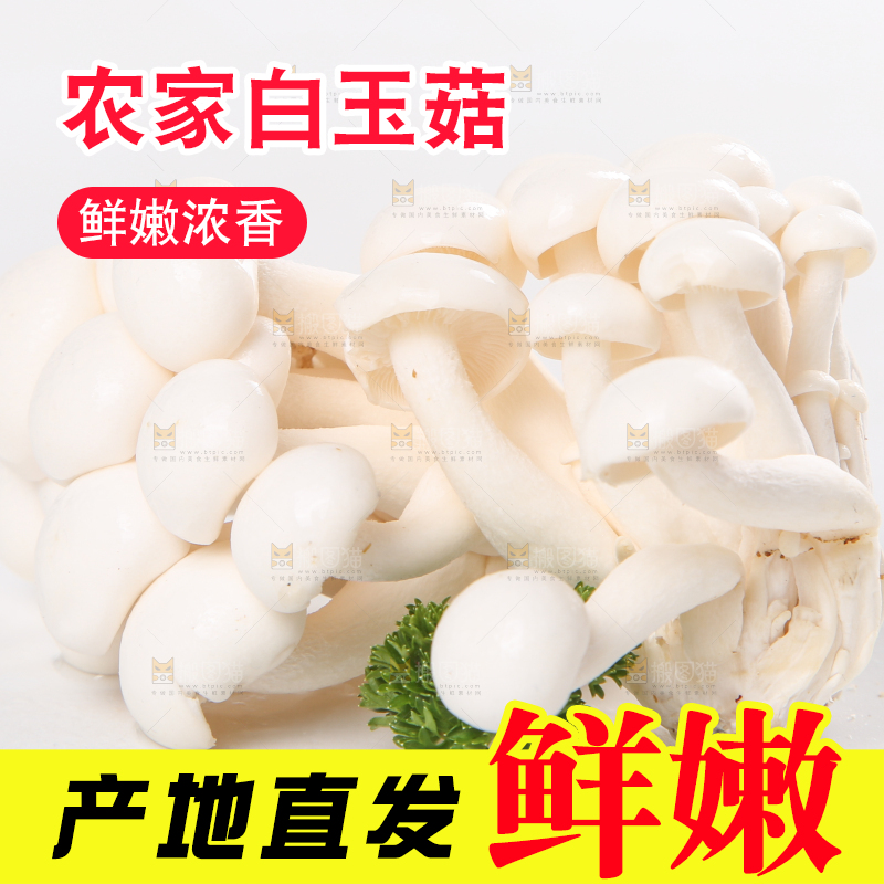 白底上的白玉菇