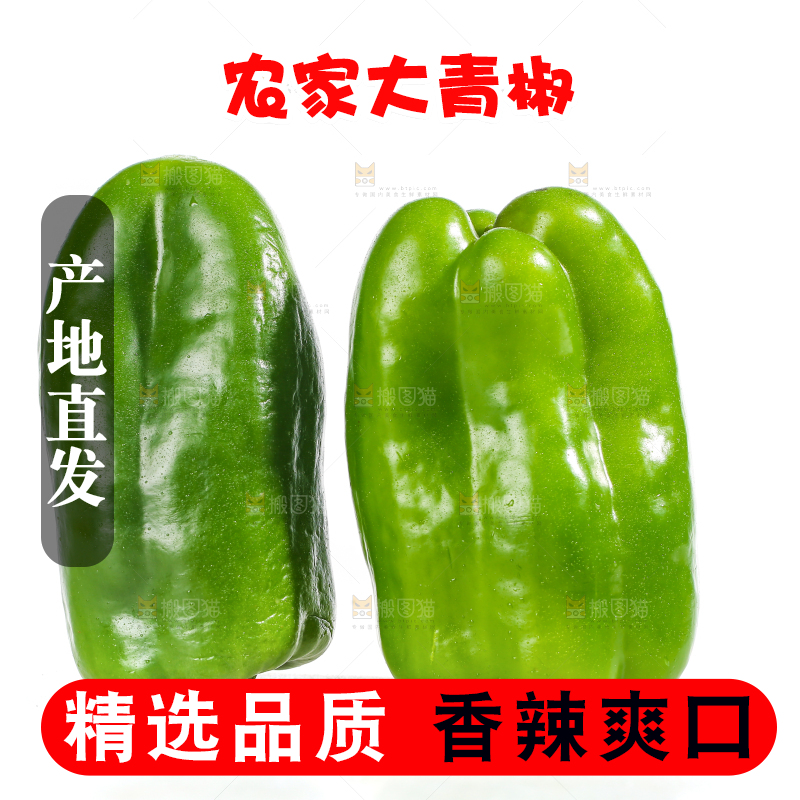 白底上的青椒