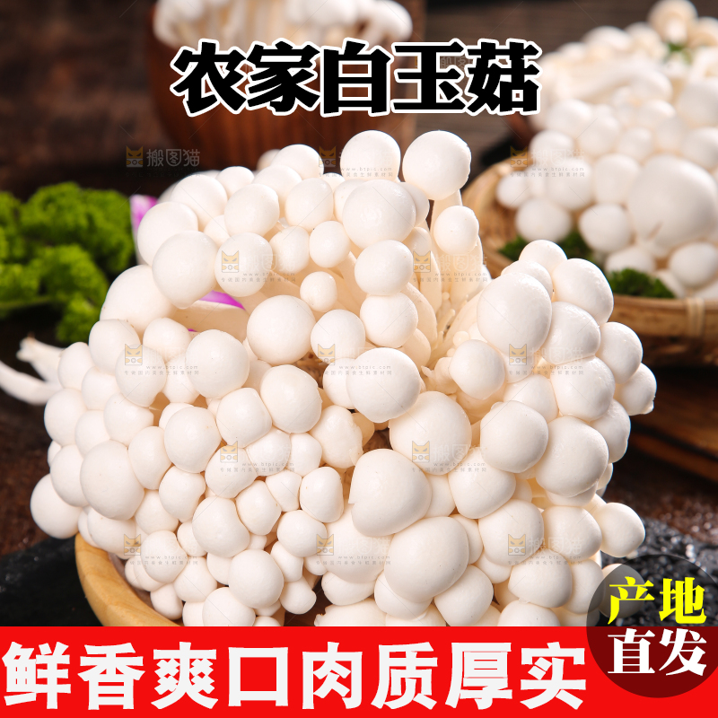 深底上的白玉菇