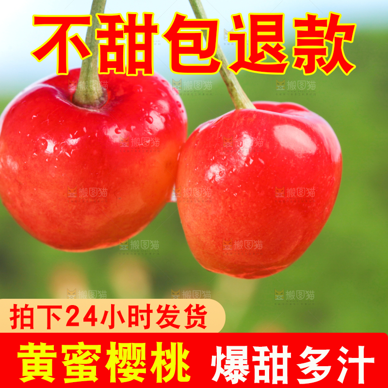 草地上的黄蜜樱桃
