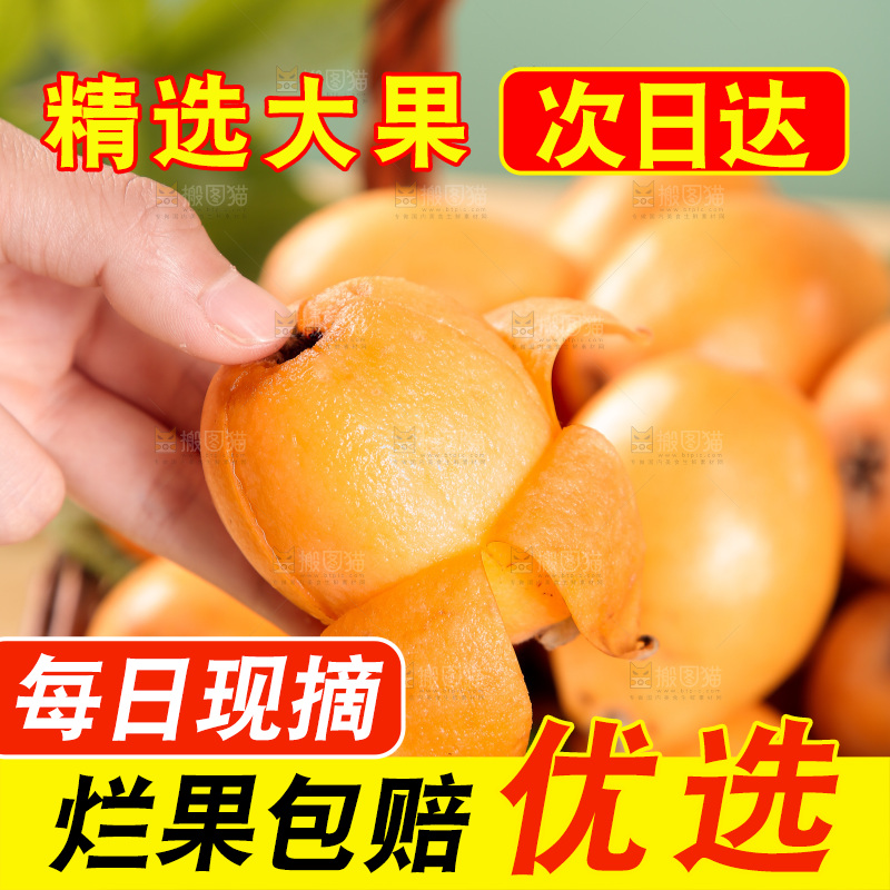 手里拿着枇杷