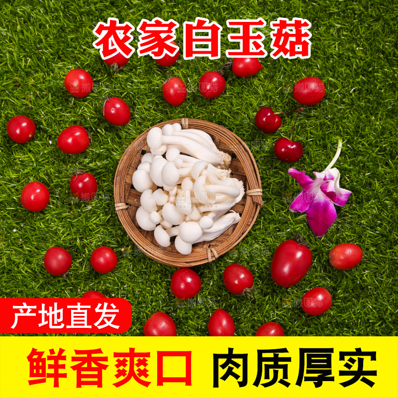 草地上的白玉菇