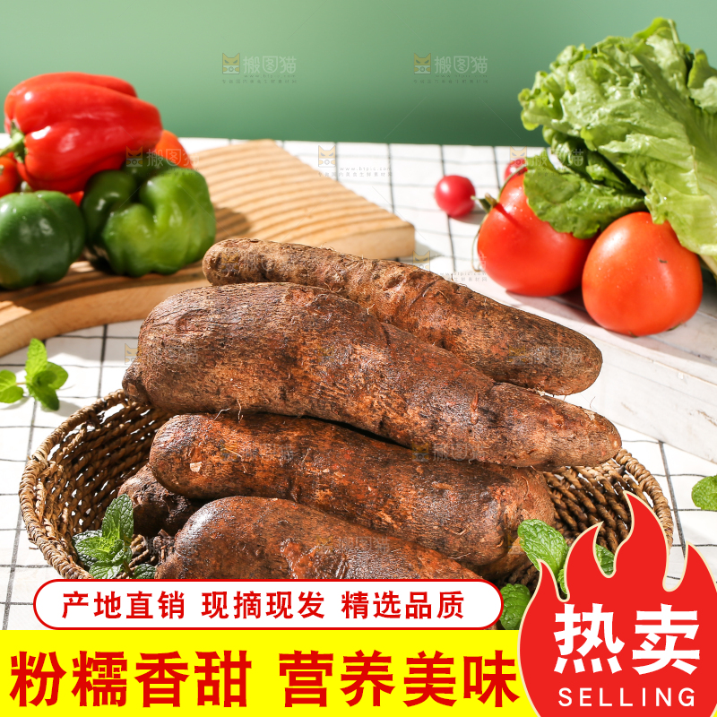 浅底上的云南山药