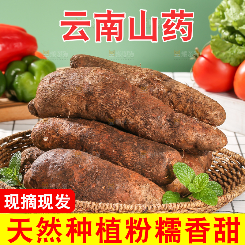 浅底上的云南山药