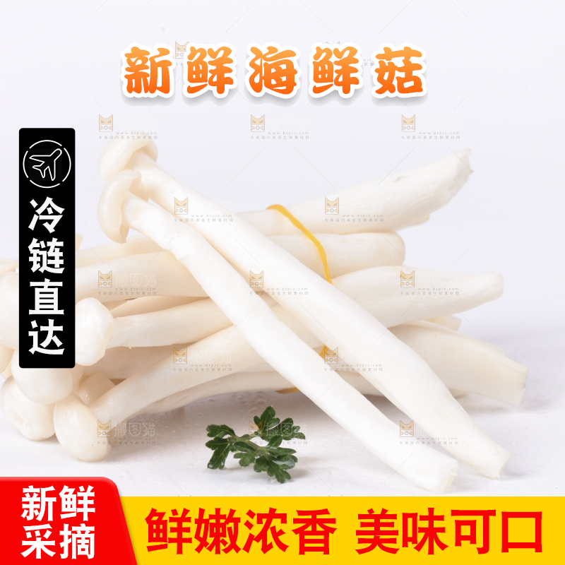 白底上的海鲜菇