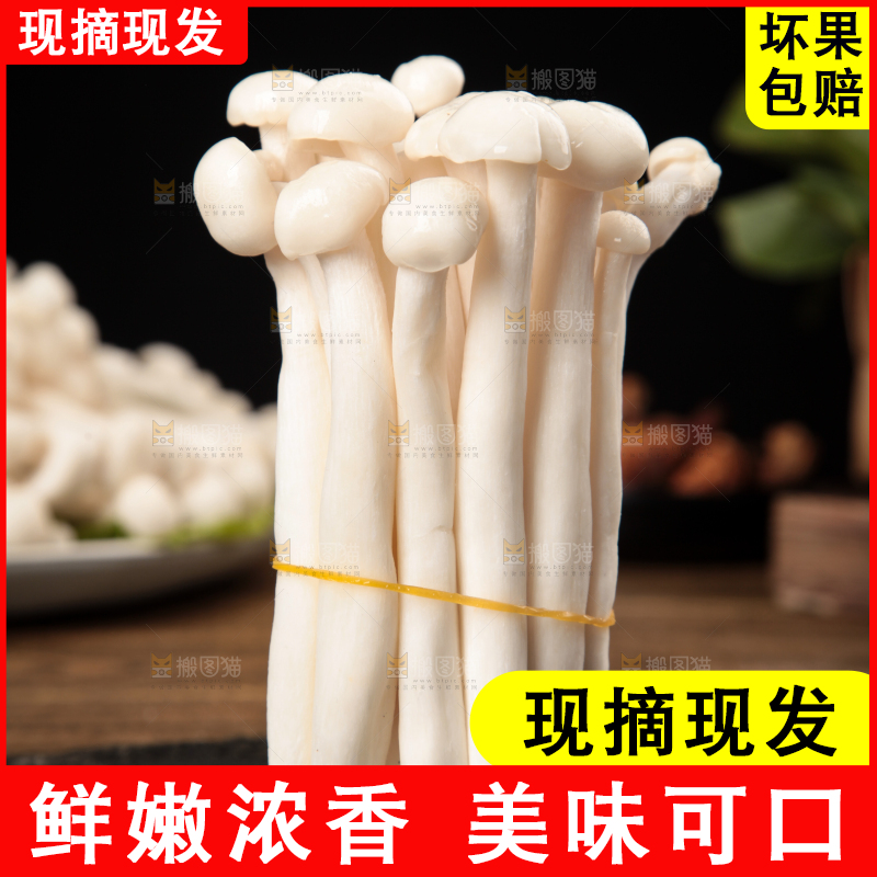 深底上的海鲜菇